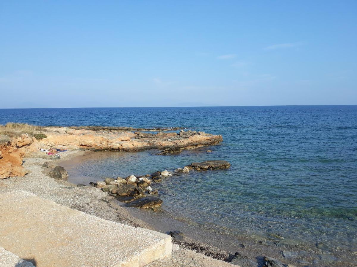 Bow Lux Apartments Αρτέμιδα Εξωτερικό φωτογραφία